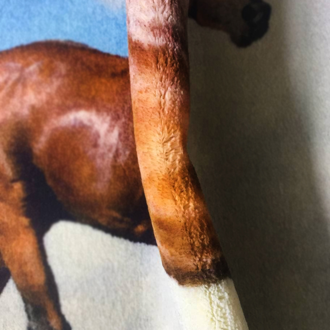 تابلو فرش طرح اسب ترکمن
